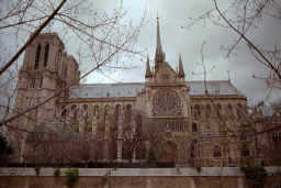 notredame_side_twigs_tilt_1.JPG (120675 bytes)